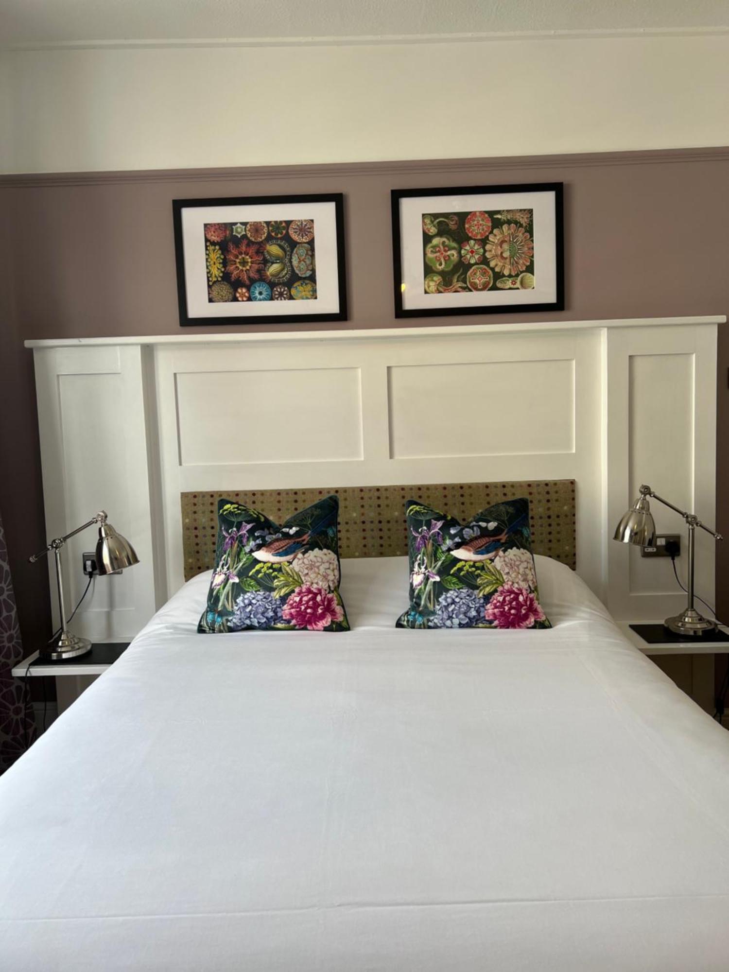 Bed and Breakfast White Horse Молдон Екстер'єр фото